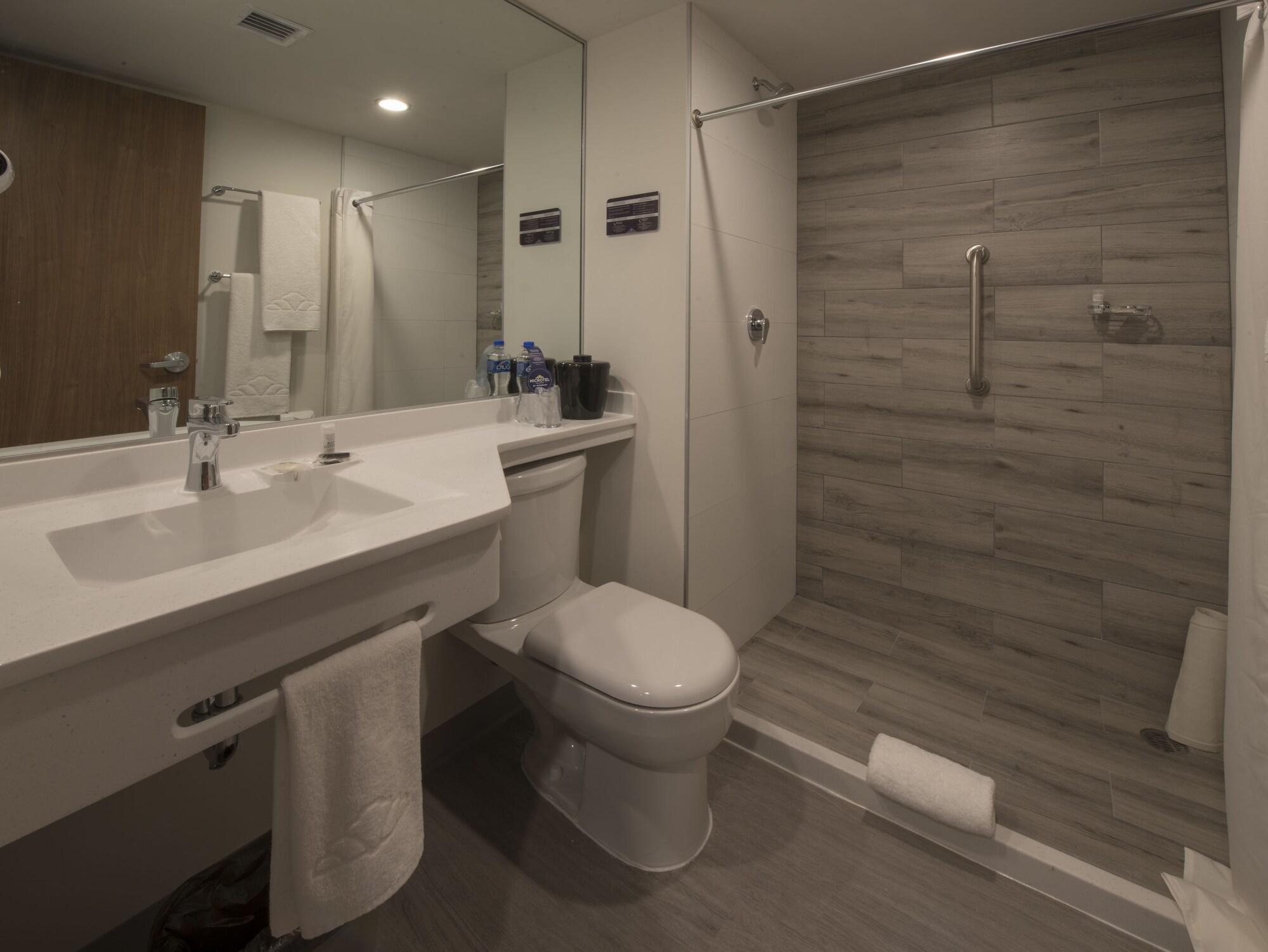 Microtel Inn & Suites By Wyndham Irapuato Εξωτερικό φωτογραφία